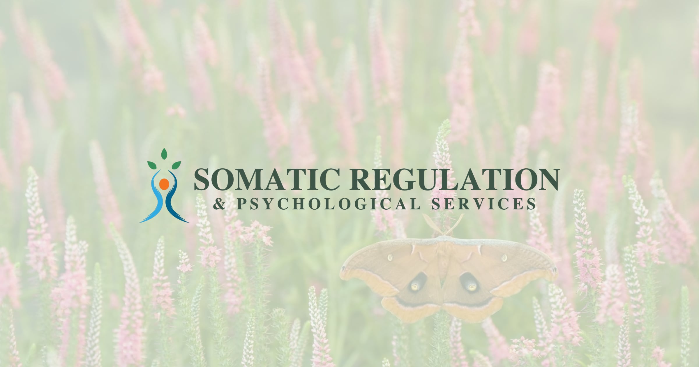 Psychotherapy, Psychological Assessments, & more | Somatic Regulation ...