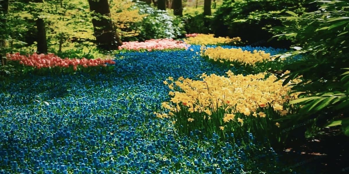 A garden full of flowers